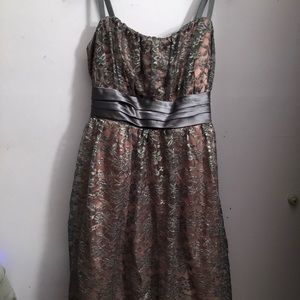 Torrid pink and silver dress